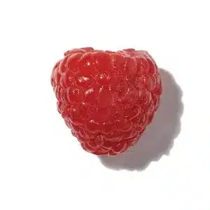 Quả Dâu Đỏ (Red Berries)