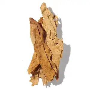 hương thuốc lá
