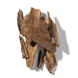 Hương Gỗ Thơm (Woody Notes)